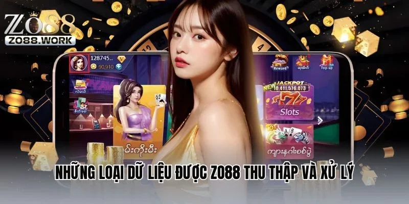Những loại dữ liệu được ZO88 thu thập và xử lý