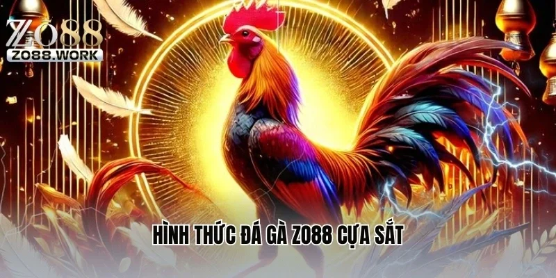 Hình thức đá gà ZO88 cựa sắt