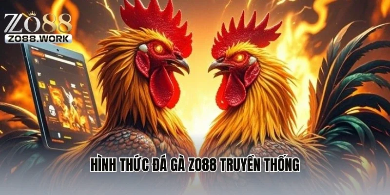Hình thức đá gà ZO88 truyền thống