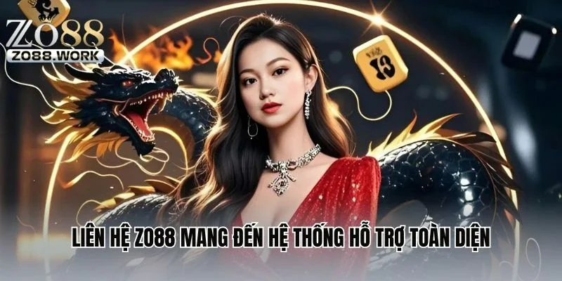 Liên hệ ZO88 mang đến hệ thống hỗ trợ toàn diện