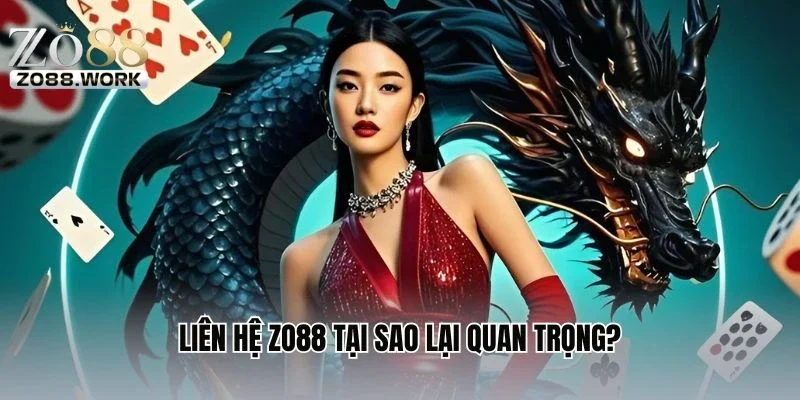 Liên hệ ZO88 tại sao lại quan trọng?