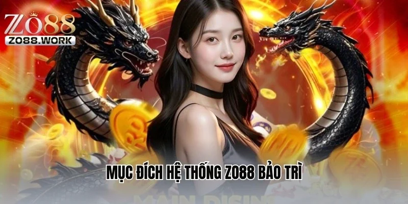 Mục đích hệ thống ZO88 bảo trì