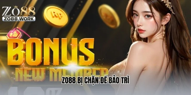 ZO88 bị chặn để bảo trì